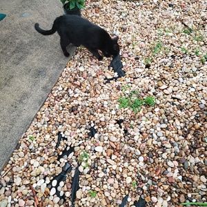 Meet your Posher, Karen